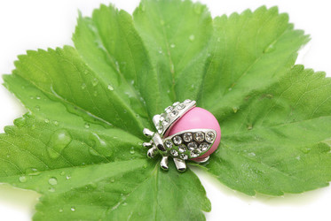 Similar image 205077