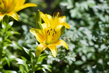 Similar image 205078