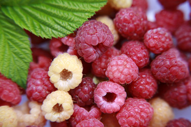 Similar image 205080