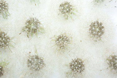 Similar image 205082