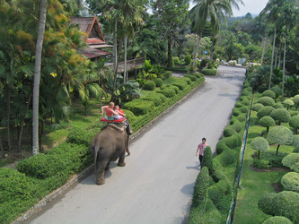 Similar image 205084