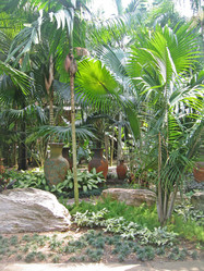 Similar image 205086