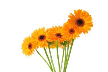 Similar image 205103