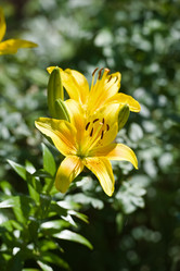 Similar image 205109