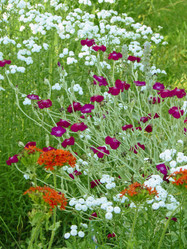 Similar image 205112