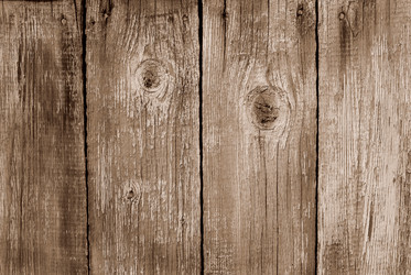 Similar image 205113