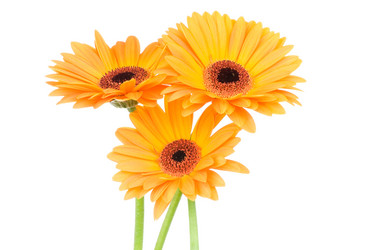 Similar image 205140