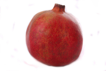 Similar image 205145