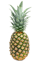 Similar image 205146