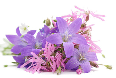 Similar image 205188