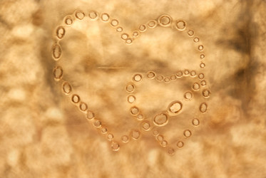 Similar image 205199