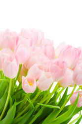 Similar image 205202