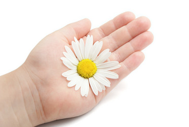 Similar image 205204