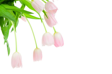 Similar image 205207