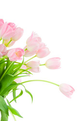 Similar image 205208