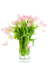 Similar image 205211