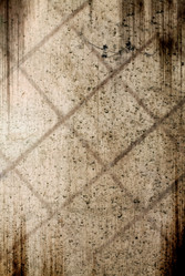 Similar image 205266