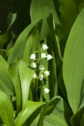 Similar image 205269