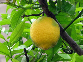 Similar image 205270