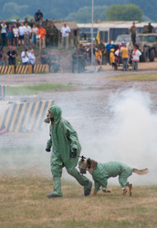 Similar image 205274