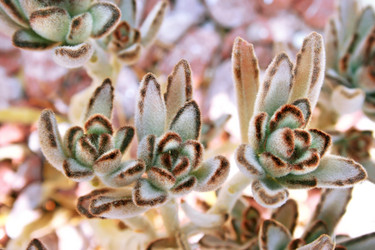 Similar image 205300