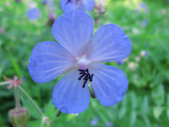 Similar image 205312