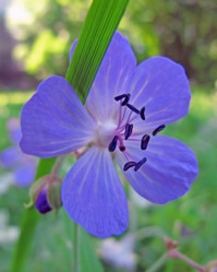 Similar image 205314