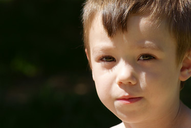 Similar image 205367