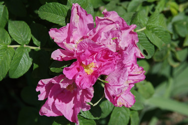 Similar image 205378