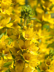 Similar image 205391