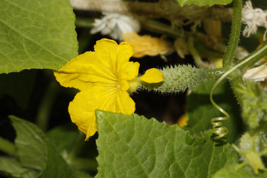 Similar image 205396