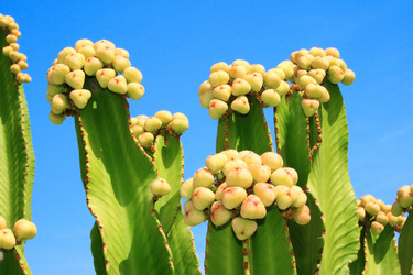 Similar image 205397