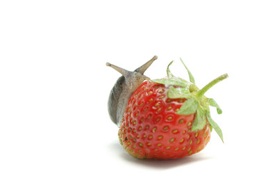 Similar image 205424