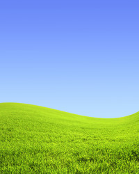 Similar image 205457