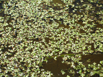 Similar image 205632