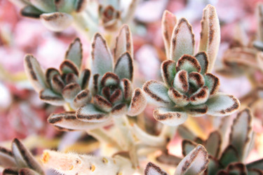 Similar image 205786