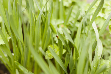 Similar image 205934