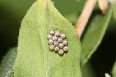 Similar image 206217