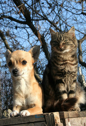 Similar image 206223