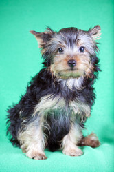 Similar image 206258