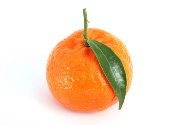 Similar image 206260