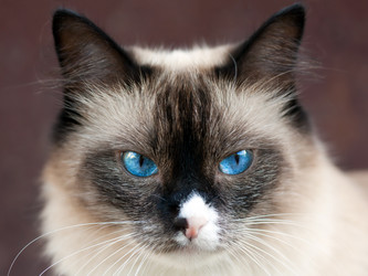 Similar image 206270