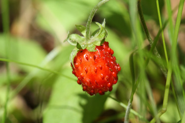 Similar image 206273