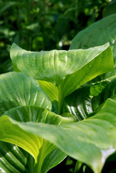 Similar image 206282