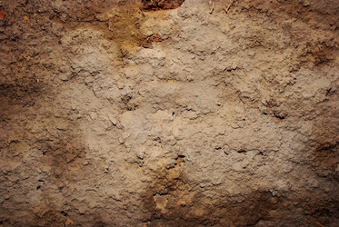 Similar image 206283