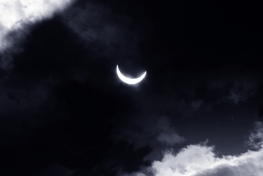 Similar image 206291