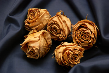 Similar image 206293