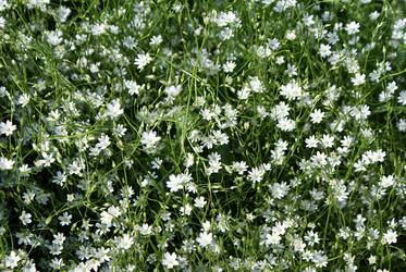 Similar image 206298