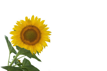 Similar image 206312