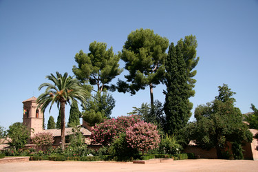 Similar image 206319